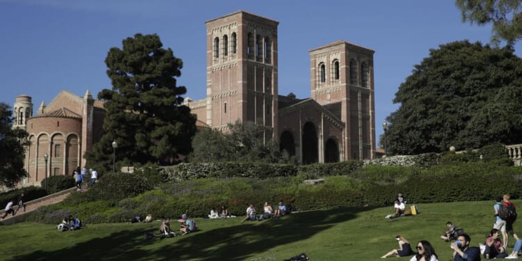 Fall college enrollment returns to prepandemic levels: Report