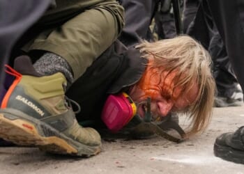 Minnesota anti-ICE group calls for attacking federal agents: 'Be willing to get kicked in the teeth'