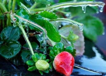 Warming shelters for the homeless are open as Florida experiences its coldest weather this winter