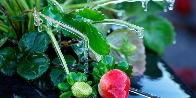 Warming shelters for the homeless are open as Florida experiences its coldest weather this winter