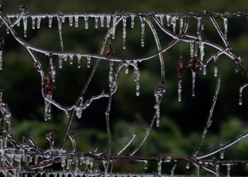 Blast of winter weather hitting East Coast, Midwest and could bring snow to Florida