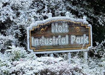 As Florida gets snow second year in a row, small part of Sunshine State becomes Snowy State