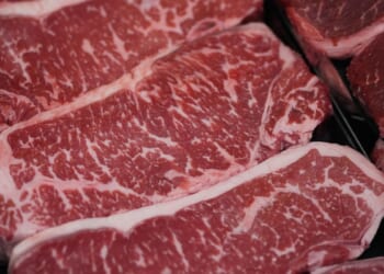 Nutrition experts question need for doubled protein intake in new U.S. guidelines