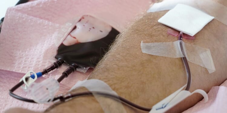 American Red Cross urges people to donate blood after national supply drops 35% in a month