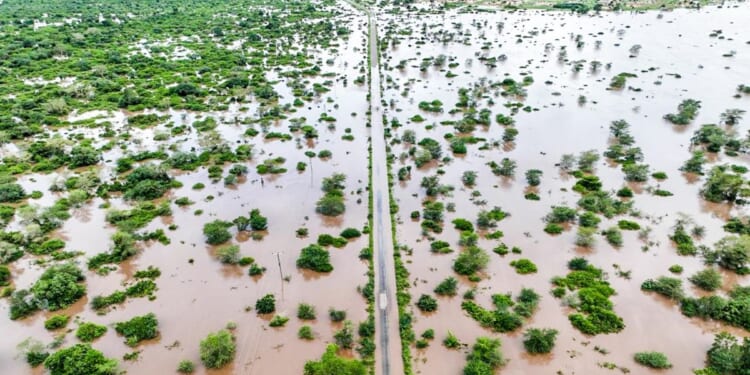 What to know about the devastating floods in southern Africa