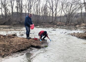 Massive sewage spill flows into Potomac River upstream from Washington
