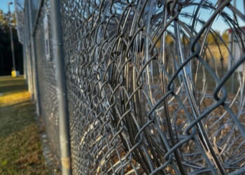 Judges releasing migrant gang members as DHS detention face legal hurdles