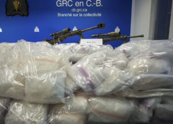 Meth conviction not sufficient to cancel gun rights, appeals court rules