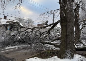 Icy highways leave drivers stuck in Mississippi as freezing U.S. temperatures persist