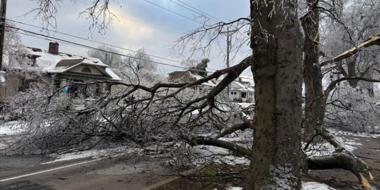 Icy highways leave drivers stuck in Mississippi as freezing U.S. temperatures persist