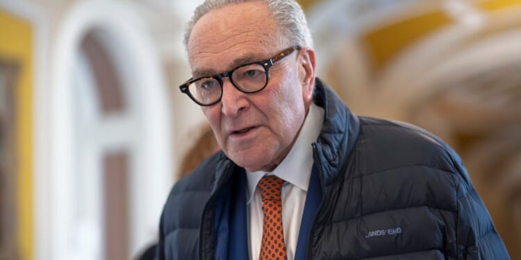 Schumer lays out Senate Democrats' plan on reining in ICE through DHS funding bill