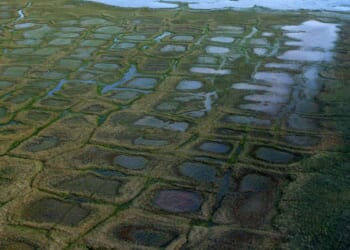 Judge rules winter drilling program in Alaska petroleum preserve can proceed