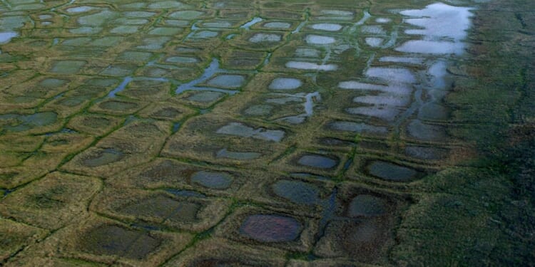 Judge rules winter drilling program in Alaska petroleum preserve can proceed