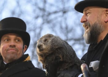 Groundhog Day! Punxsutawney Phil prepares to issue his weather verdict from Gobbler's Knob