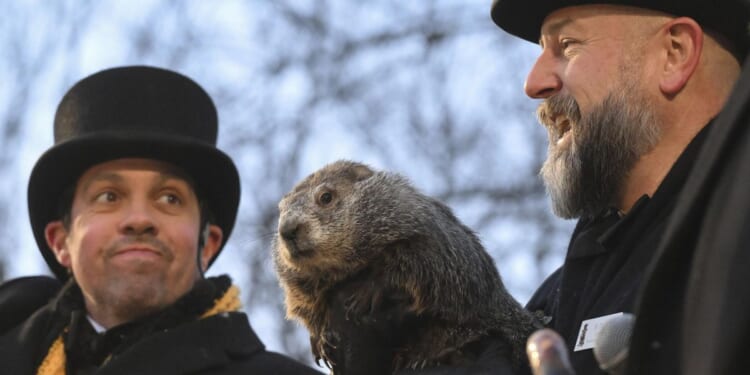 Groundhog Day! Punxsutawney Phil prepares to issue his weather verdict from Gobbler's Knob