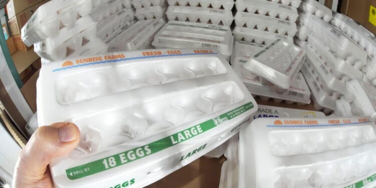 Eggs-asperated: Justice Dept. battles states over cage-free laws