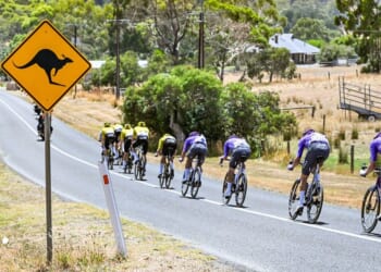 The peloton rides past a kangaroo caution road sign Sunday during stage five of the Tour Down Under UCI men's cycling race in Adelaide, Australia.