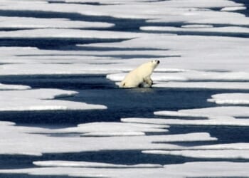 Oh, Noes! If Trump Tries to Take Greenland NATO Will Quit Us! – HotAir