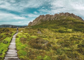 A boardwalk amid moss and a cloudy sky.