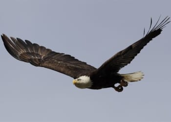 WOW — This Year Is Really Flying By – PJ Media