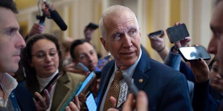 Thom Tillis' blockade complicates path for Donald Trump's pick of Kevin Warsh for Fed chairman