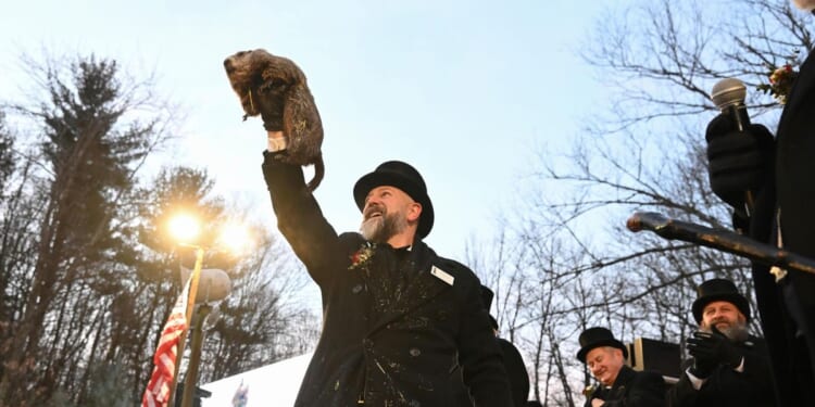 Punxsutawney Phil predicts six more weeks of winter after seeing his shadow