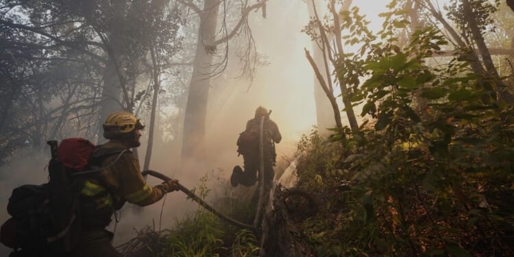 Argentina fires ravage pristine Patagonia forests, fueling criticism of Milei's austerity