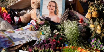 'What a beautiful American we have lost,' Renee Good's brothers tell Democrats