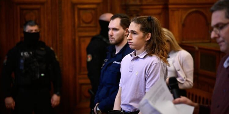 German anti-fascist activist sentenced to 8 years in Hungary for far-right rally assaults