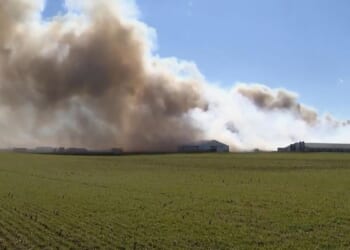 Fire at an Ohio farm complex kills roughly 6,000 hogs and smoke is visible for miles