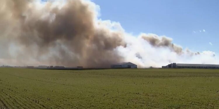 Fire at an Ohio farm complex kills roughly 6,000 hogs and smoke is visible for miles