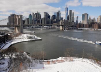 New York City police arrest man after officers were pelted during a snowball fight