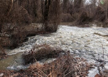 DC Health says city's section of Potomac will be safe by next week