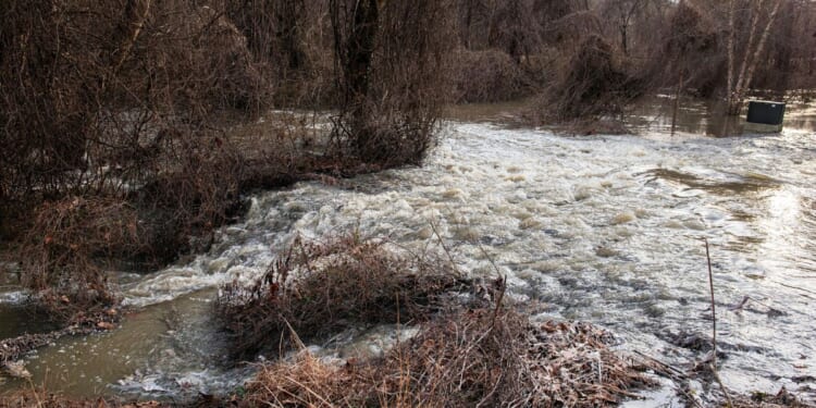 DC Health says city's section of Potomac will be safe by next week