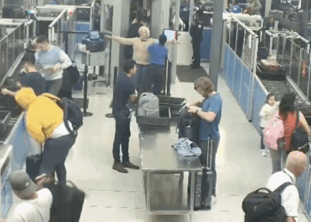 Previously convicted stowaway Svetlana Dali caught again, arrested in Italy