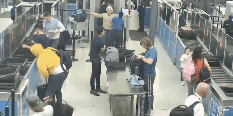 Previously convicted stowaway Svetlana Dali caught again, arrested in Italy