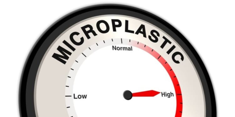 Microplastics have quietly made their way into every corner of our environment -- and every corner of the human body.