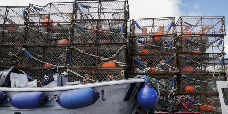 Todd Meadows, deckhand on 'Deadliest Catch,' dies while crabbing in Alaskan waters