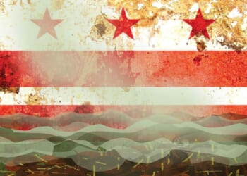 Massive raw sewage spill in the Potomac River