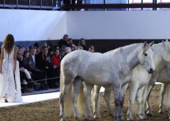 At Paris Fashion Week, designer Stella McCartney lets horses steal the show
