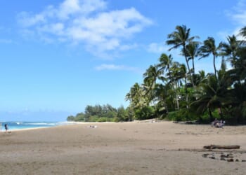Ancient skeletal remains found on grounds of college prep school in Hawaii