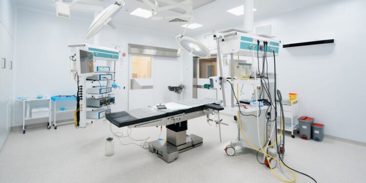 TikTok personality Rachel Tussey dies after tummy tuck surgery in Ohio