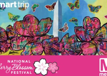 Cherry blossom-themed Smart Trip cards on sale at 7 Metrorail stations