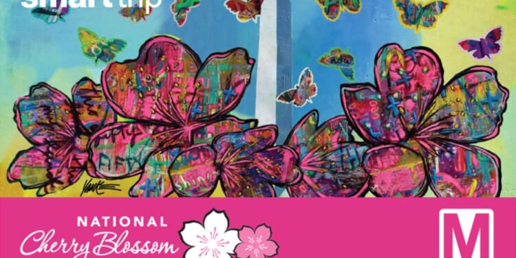 Cherry blossom-themed Smart Trip cards on sale at 7 Metrorail stations