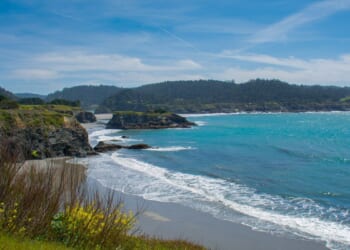 Shark attacks surfer at California state park, bites both his legs