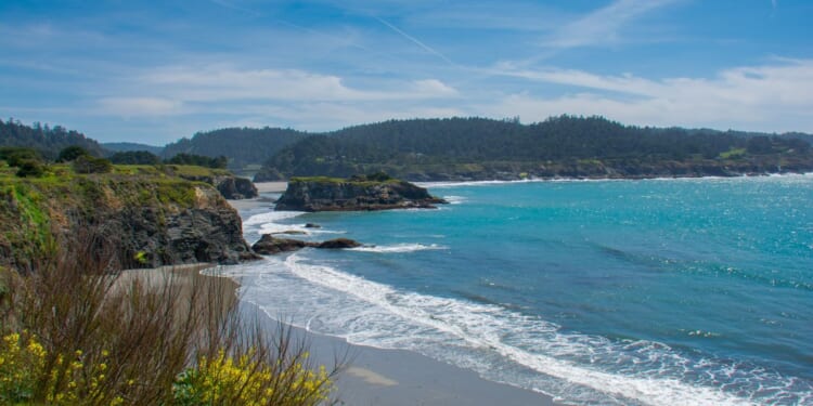 Shark attacks surfer at California state park, bites both his legs
