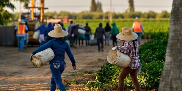 Women farmworkers who built their own fight against sexual assault cope with Chavez allegations