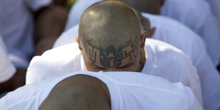 Imprisoned MS-13 gang member sues Trump administration to get sex-change treatment