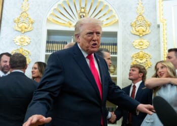 GOP plan to reopen DHS falters with Trump ‘unhappy,’ Democrats still demanding big changes for ICE