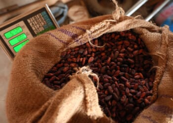 Easter chocolate, other candy expensive despite drop in cocoa prices